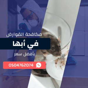 مكافحة القوارض في أبها اتصل الان 0533921800 بخصم 50%
