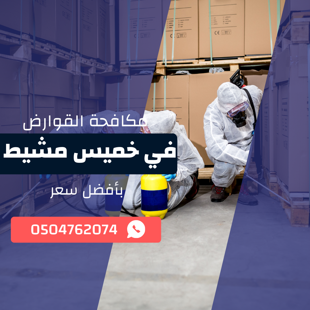 مكافحة القوارض بخميس مشيط