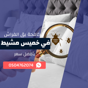 مكافحة بق الفراش بخميس مشيط