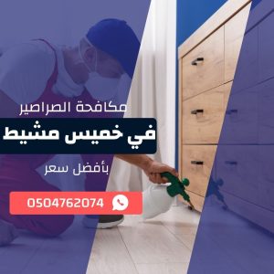 مكافحة صراصير بخميس مشيط